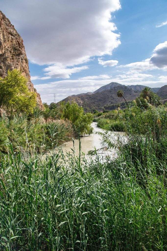 Un fiume tra la vegetazione e le colline